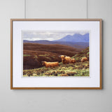 Highland Cattle Artwork