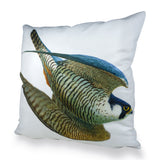 Peregrine Swooping Scatter Cushion