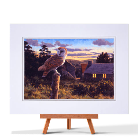 Barn Owl at Dusk Fine Art Print