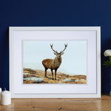 Julian Friers Red Stag Highlands Print