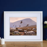 Julian Friers Red Grouse Print