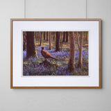 Pheasant In Bluebells Artwork
