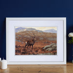 Julian Friers Red Stag Highland Print
