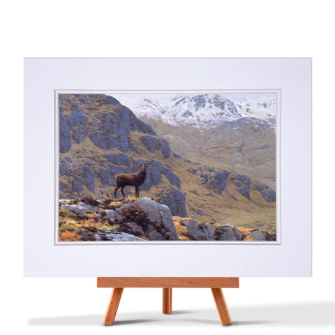 Stag Early Spring Fine Art Print